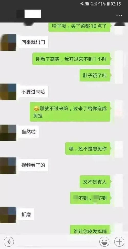 吃瓜聊天记录讲解,一场关于娱乐圈的趣味对话盛宴