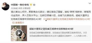 2.1剧情爆料视频在线观看,视频爆料带你领略精彩剧情瞬间