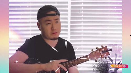 网红男歌手叫什么波