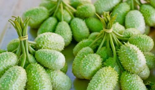 30种吃瓜方法,解锁夏日清凉新境界