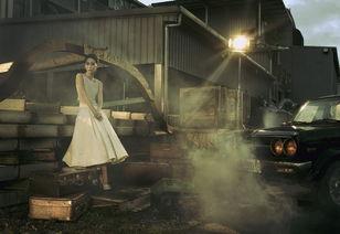 明星巨导,揭秘明星导演的璀璨人生与卓越成就