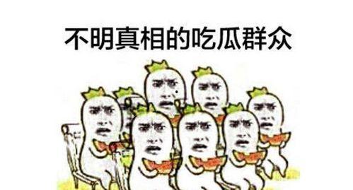 看外界新闻的叫吃瓜群众,网络时代的舆论观察者