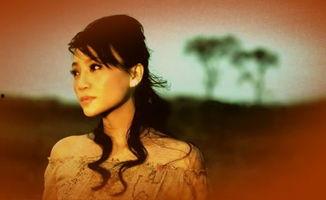 1969湖北明星,璀璨星河中的璀璨明珠