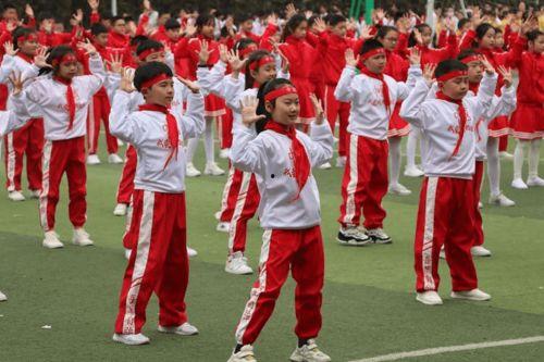 红领巾黑瓜网-每日大赛,每日大赛精彩回顾，竞技盛宴不容错过